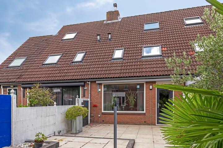 Foto 29 van Schaduwgras 6