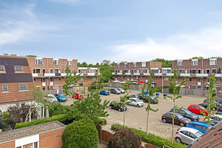 Foto 30 van Schaduwgras 6