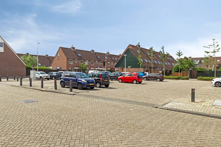 Foto 31 van Schaduwgras 6