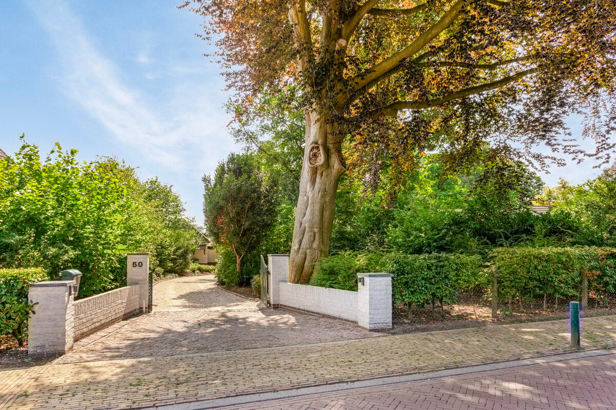 Foto 12 van Schoolstraat 50