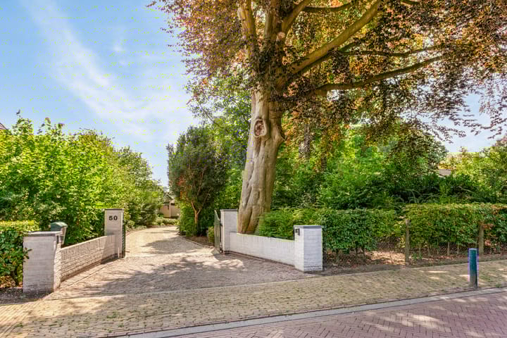 Foto 12 van Schoolstraat 50