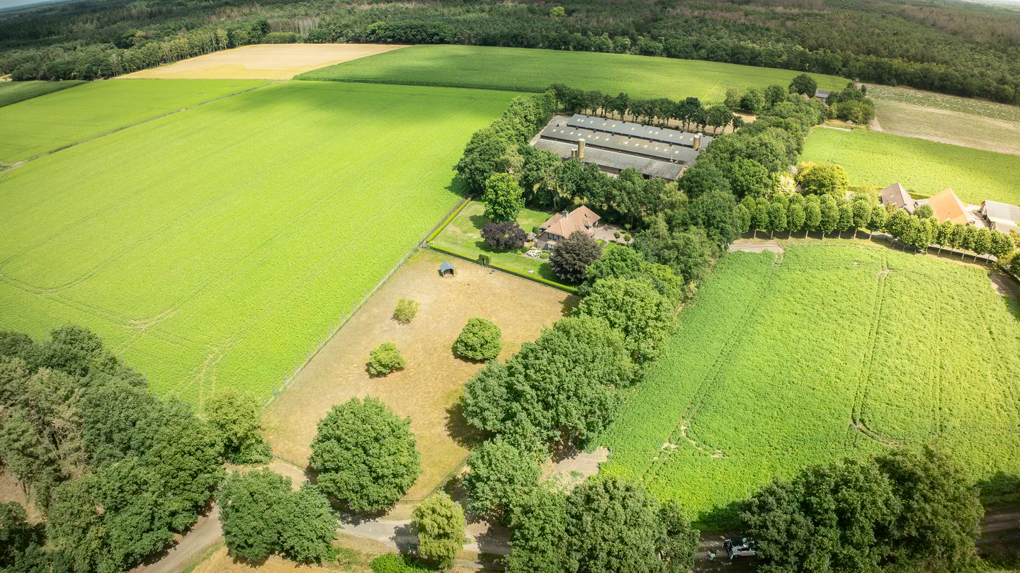 Bekijk foto 1 van Kattevlaas 7