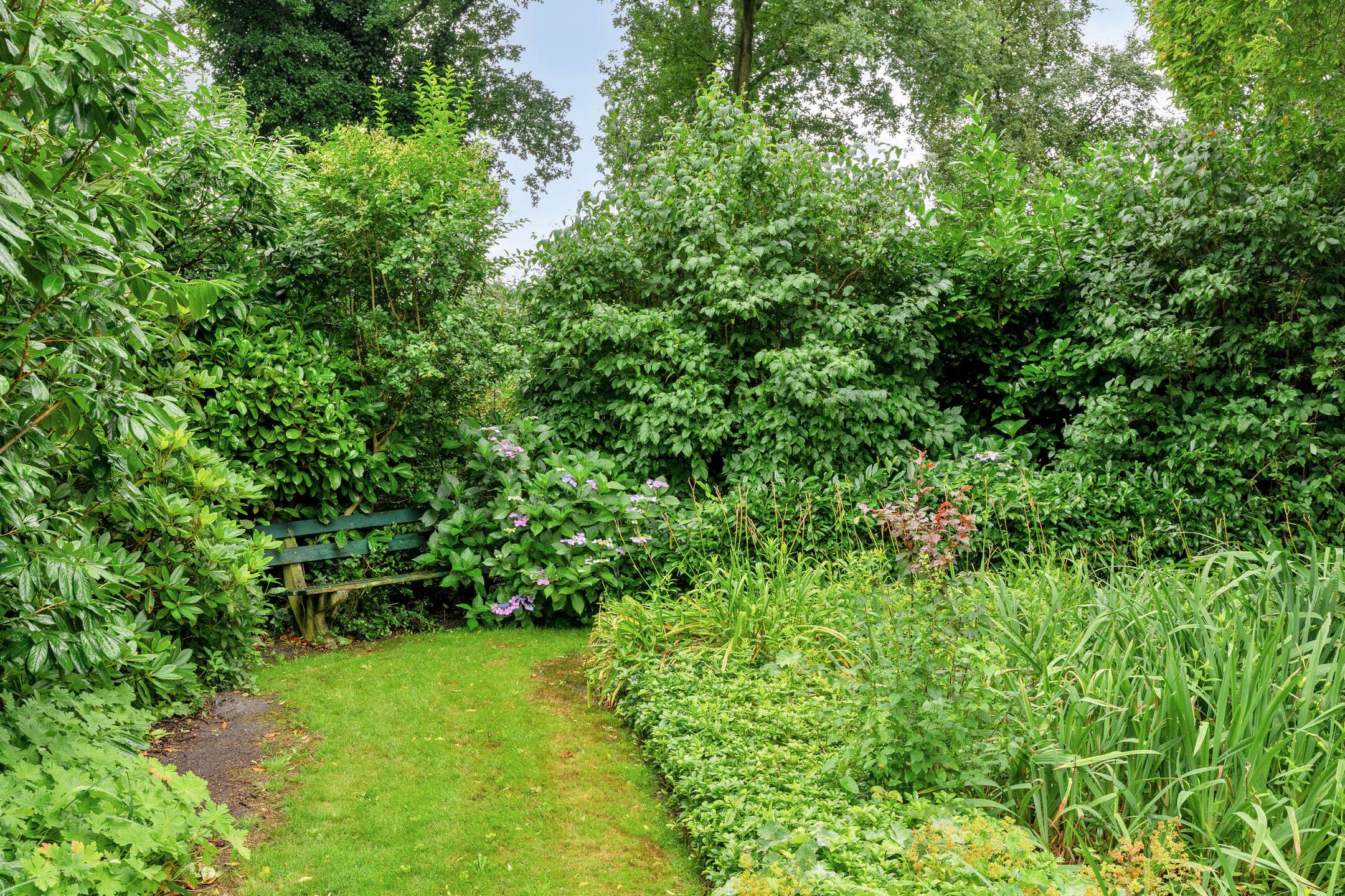 Foto 48 van Waterschapsweg 6