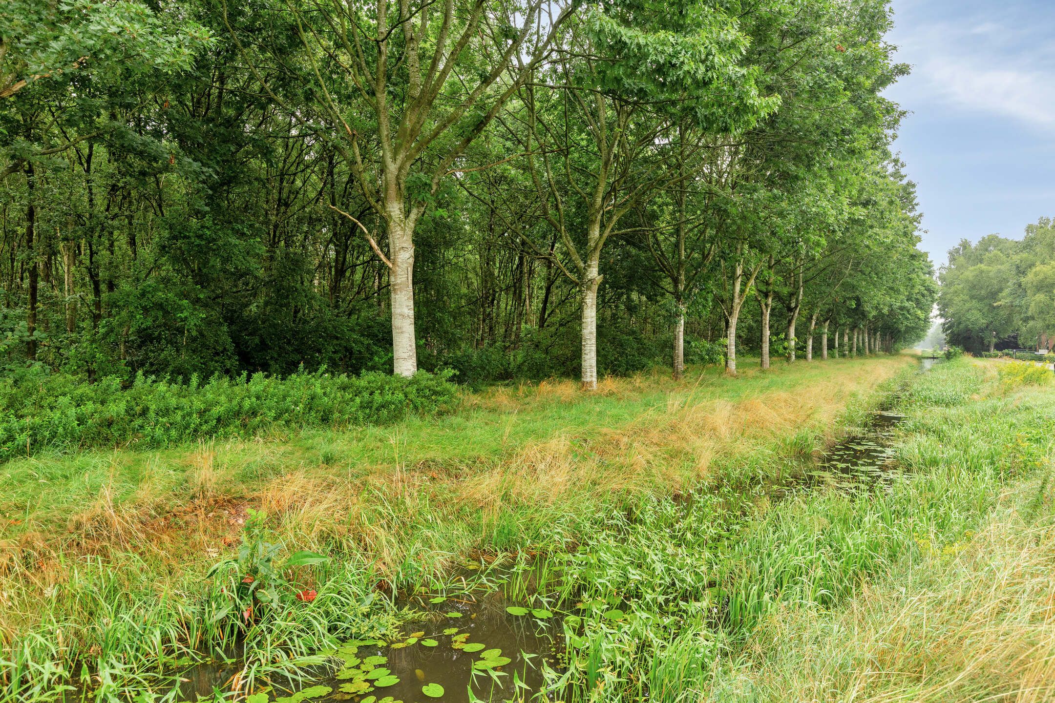 Foto 51 van Waterschapsweg 6