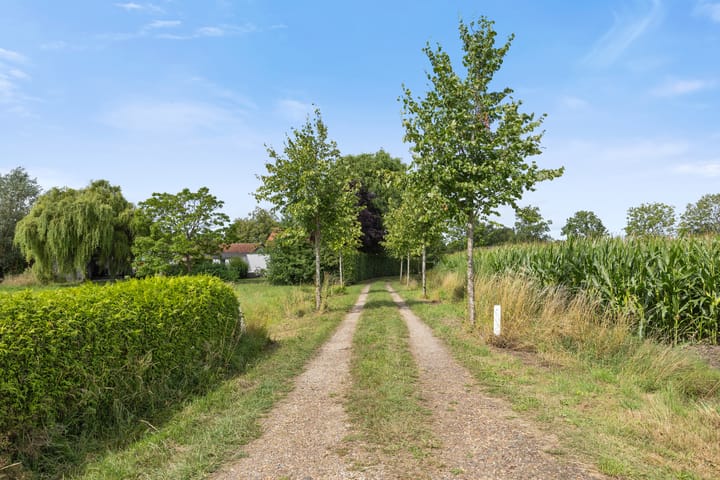 Foto 4 van Wilgenstraat 2