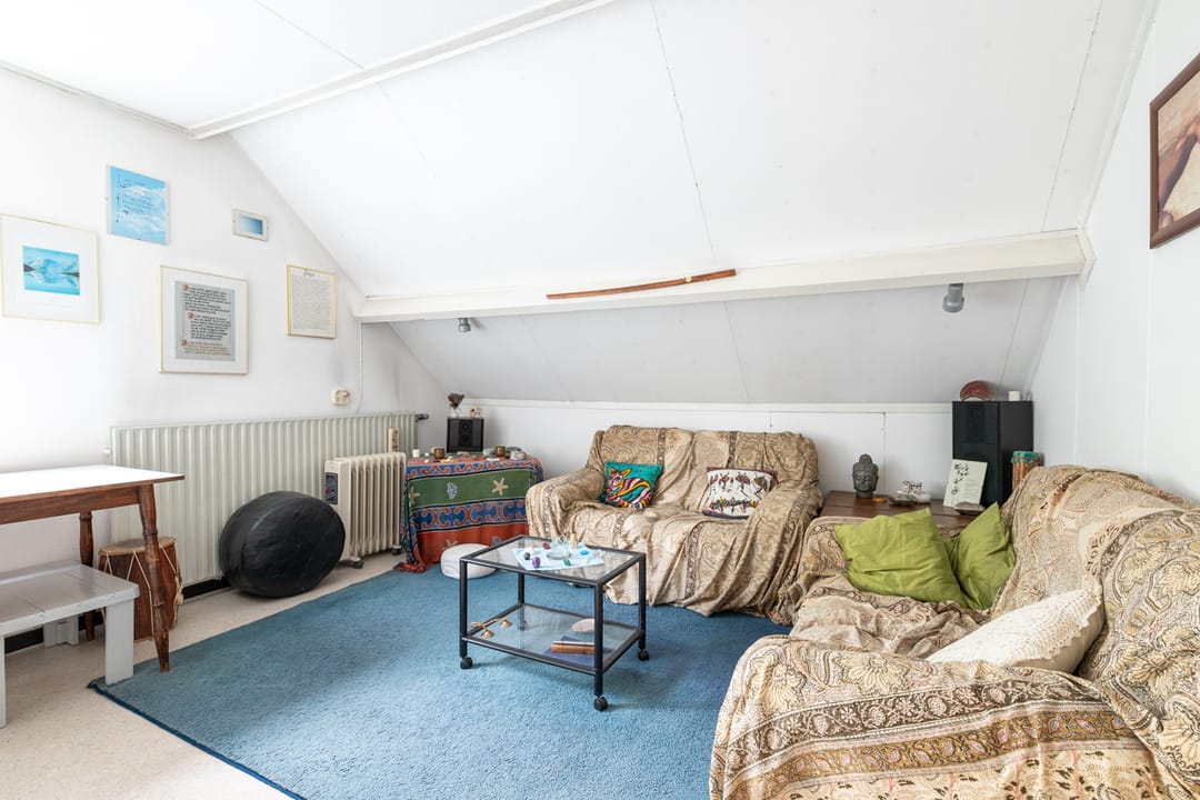 Foto 46 van Houtsnijdershorst 507