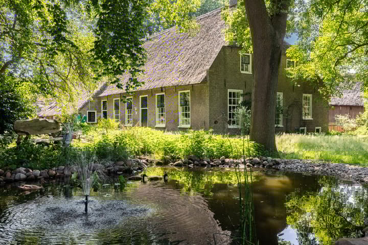 Achterste Erm 2 main image