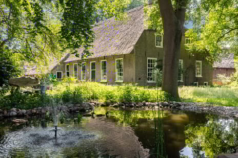 Achterste Erm thumbnail