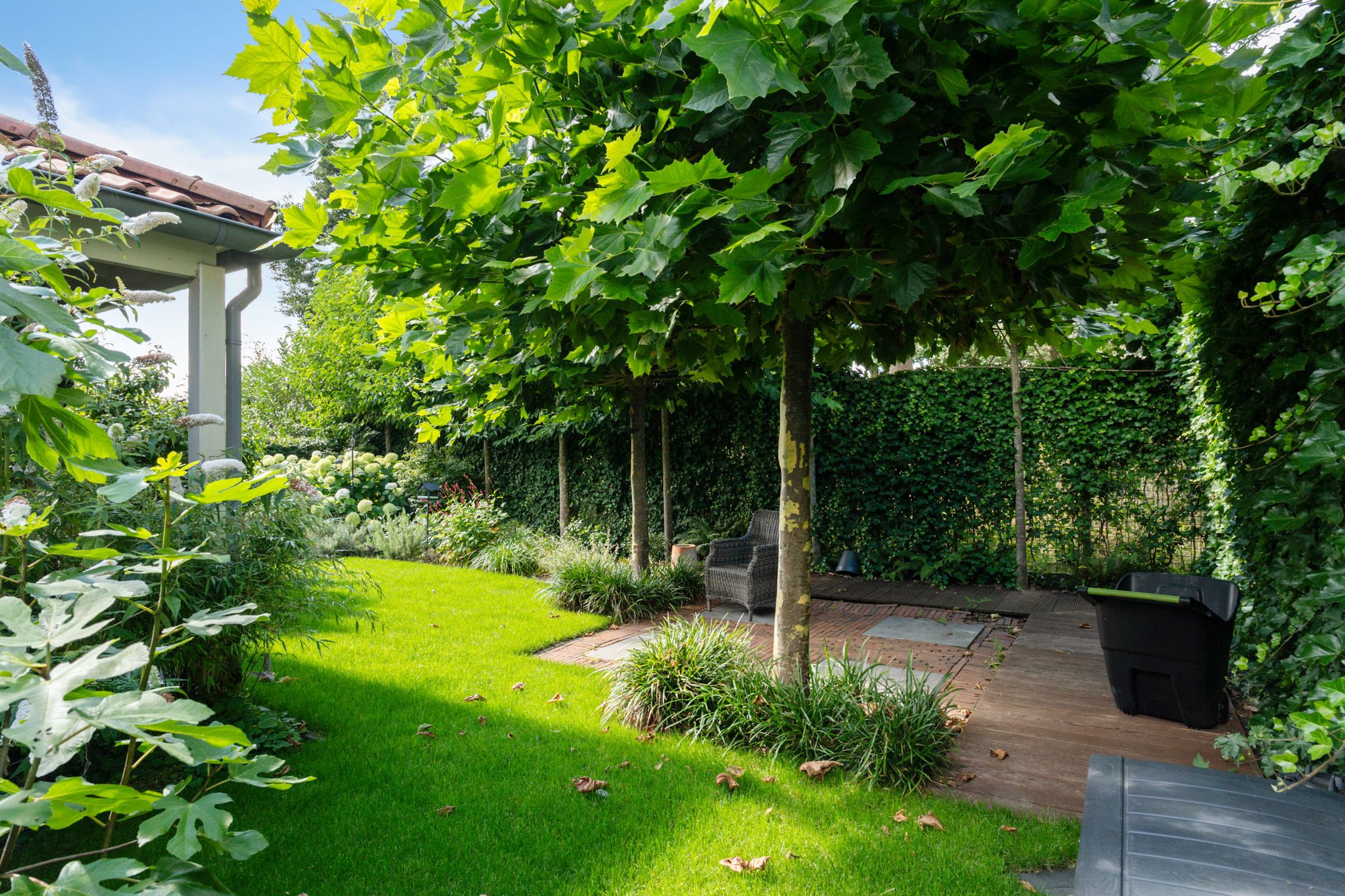 Foto 51 van Benthuizenstraat 53