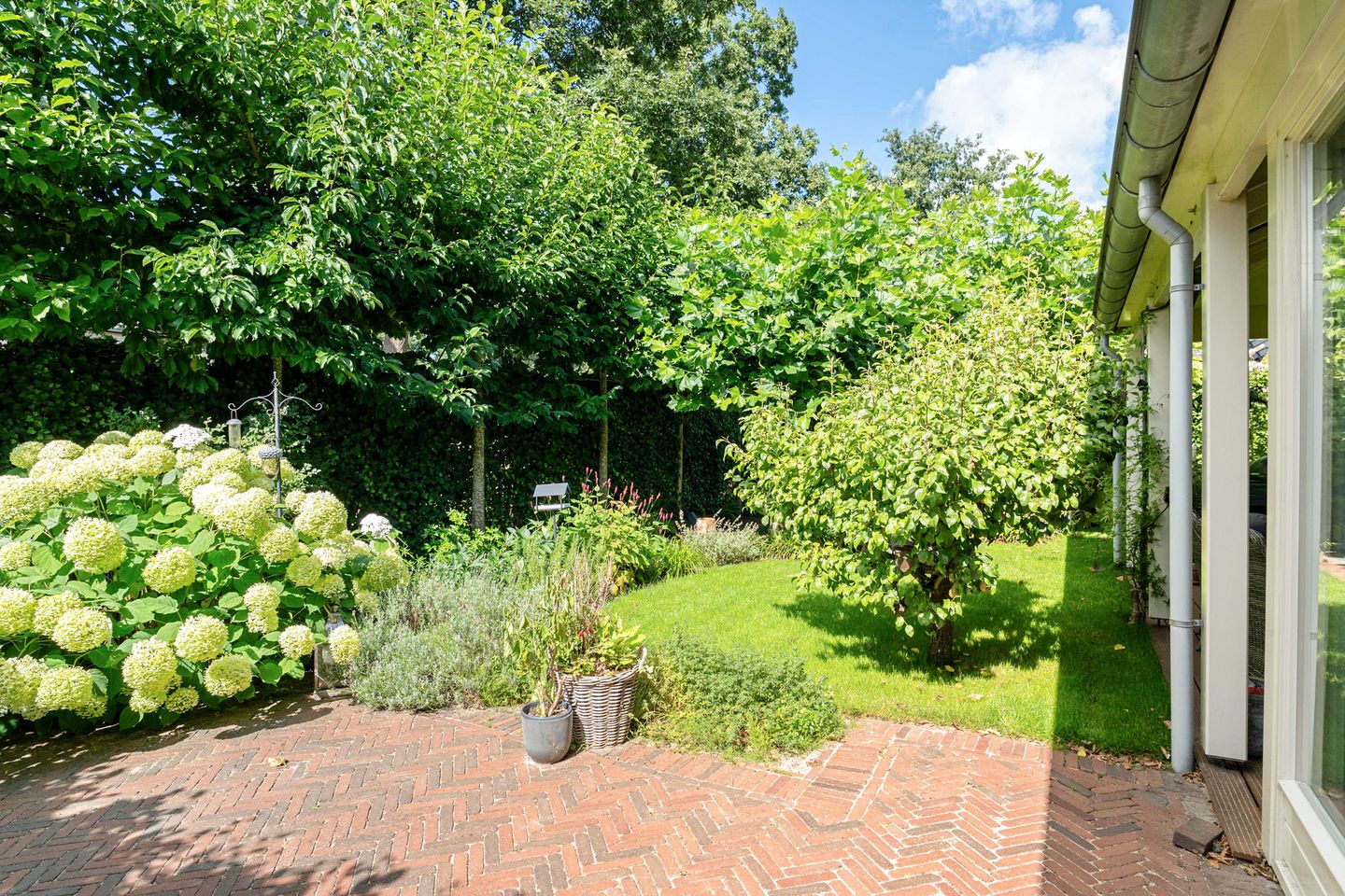 Foto 55 van Benthuizenstraat 53