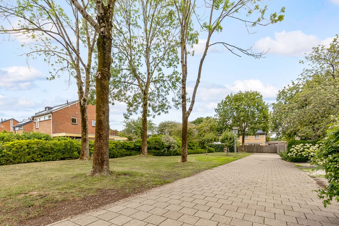 Photo 38 of Bongerd 177