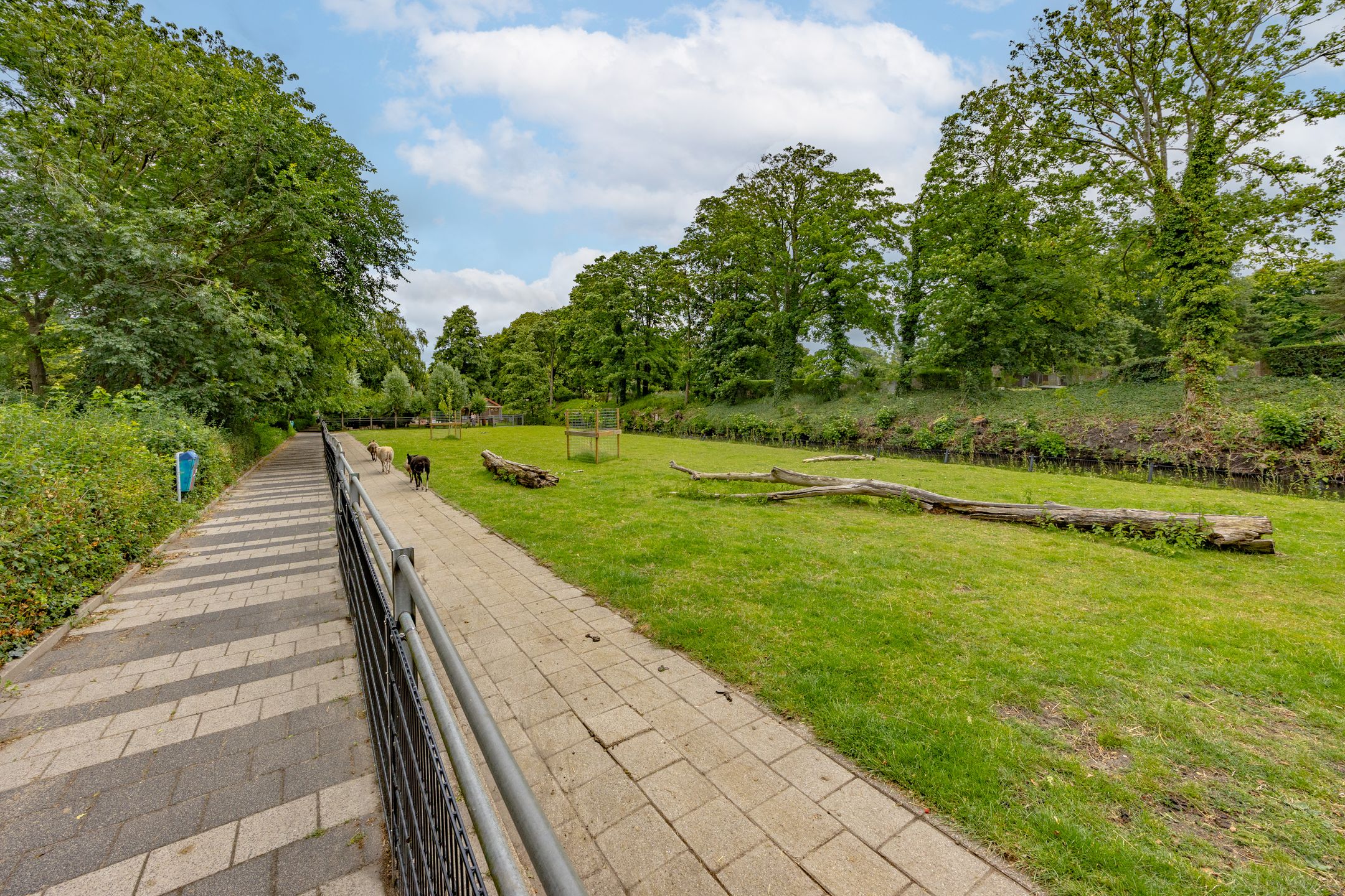 Foto 18 van Hortensiastraat 211