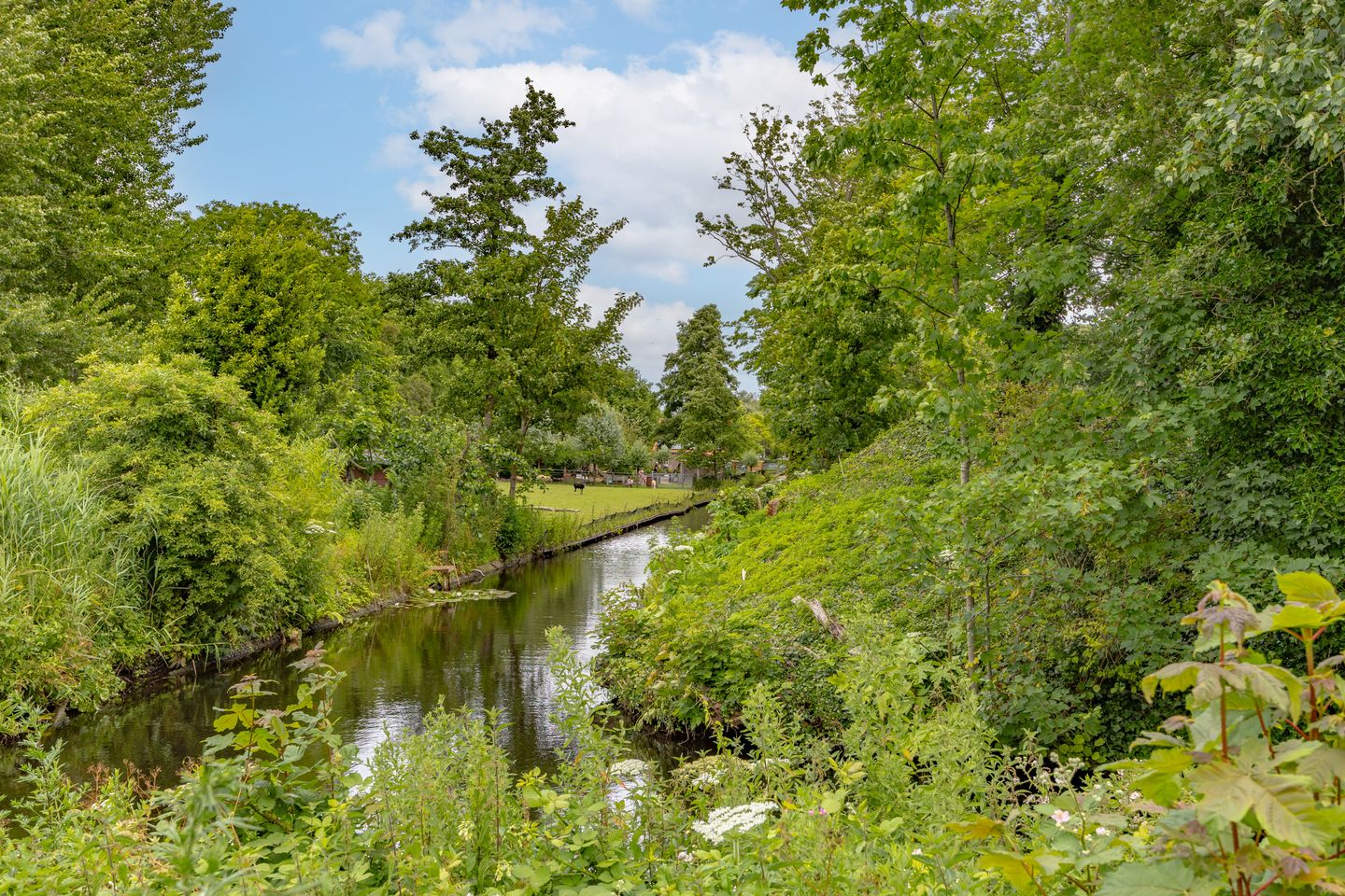 Foto 19 van Hortensiastraat 211