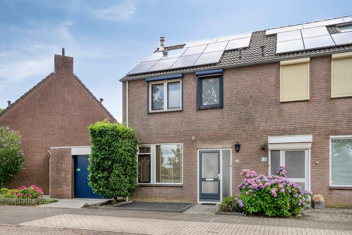 Foto 7 van Meidoorn 85