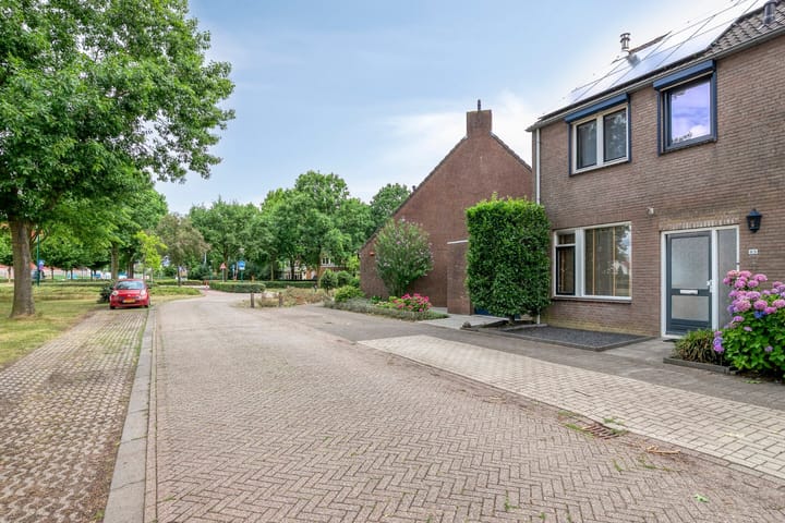 Foto 9 van Meidoorn 85