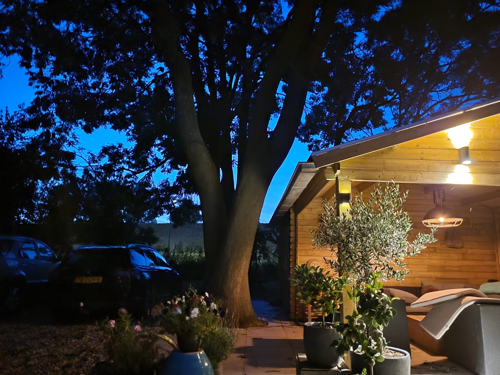 Foto 27 van Zwaluwsedijk 5