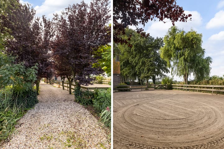 Foto 31 van Zwaluwsedijk 5