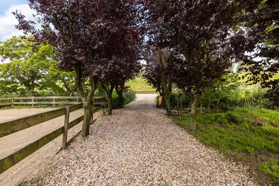 Foto 32 van Zwaluwsedijk 5