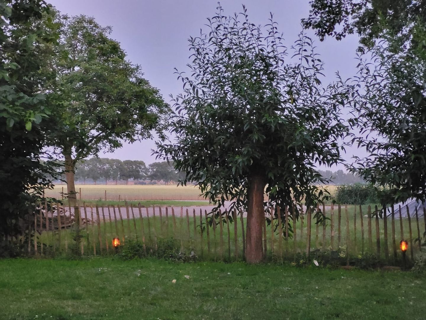 Foto 34 van Zwaluwsedijk 5