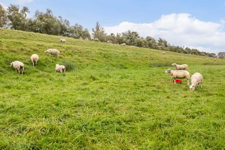 Foto 53 van Zwaluwsedijk 5