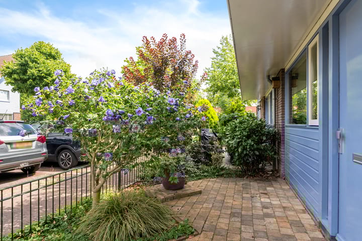 Foto 10 van Wollegras 68