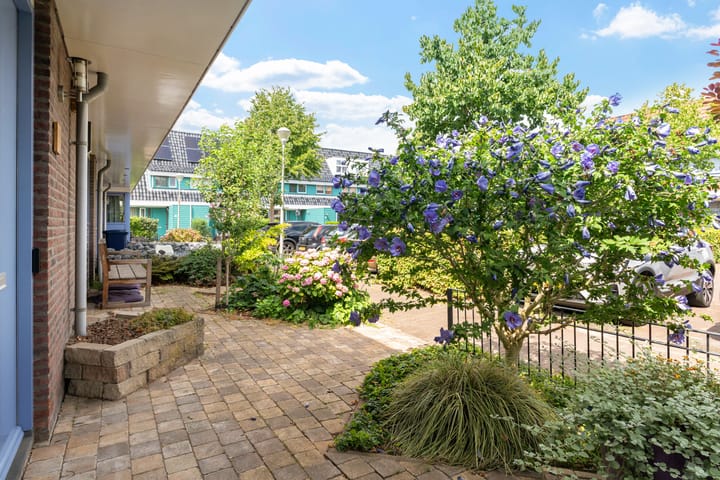 Foto 11 van Wollegras 68