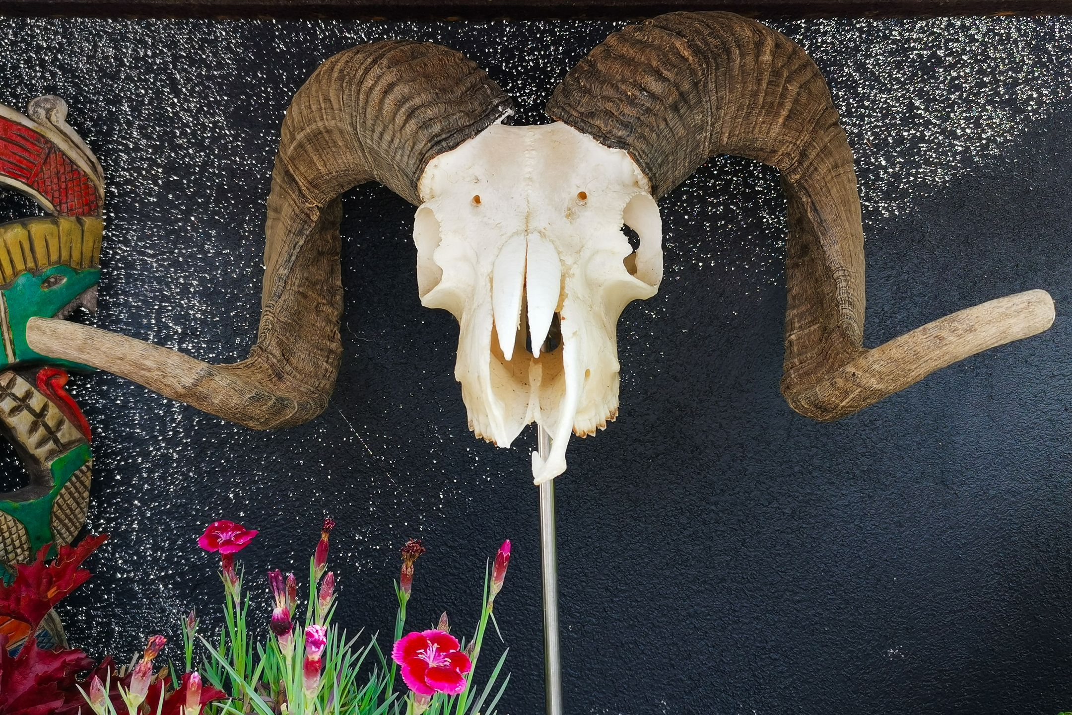 Foto 42 van Keizersveerlaan 44