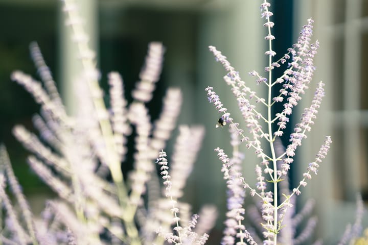 Foto 55 van Parklaan 17