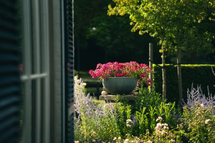 Foto 52 van Parklaan 17