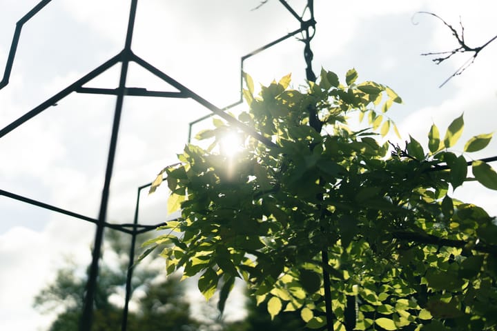 Foto 60 van Parklaan 17