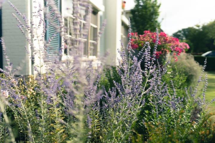 Foto 62 van Parklaan 17