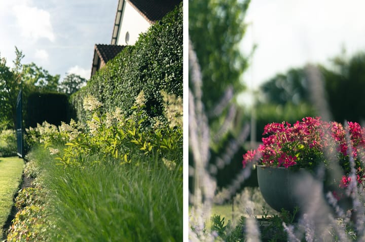 Foto 65 van Parklaan 17