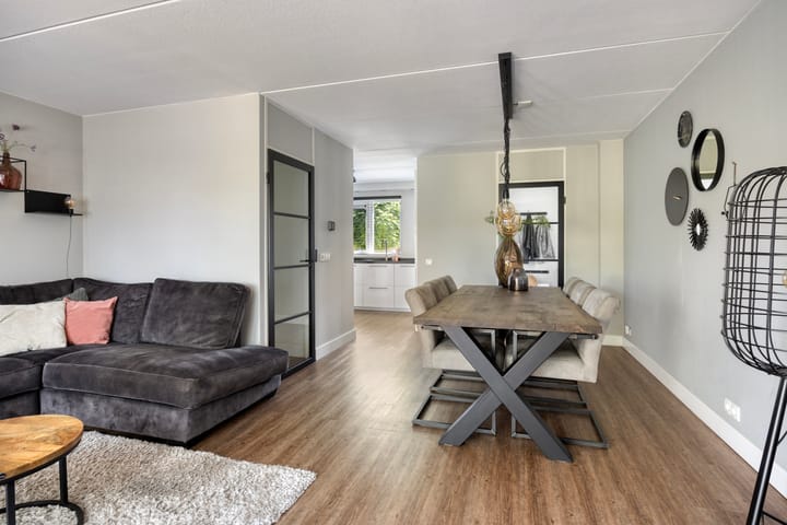 Photo 3 of Engelwortel 33