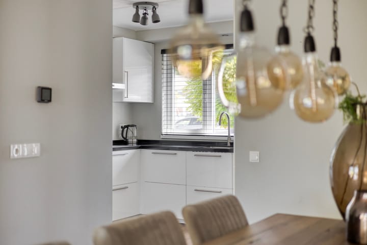 Photo 4 of Engelwortel 33