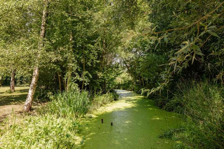 Foto 5 van Tuinstraat 2-G