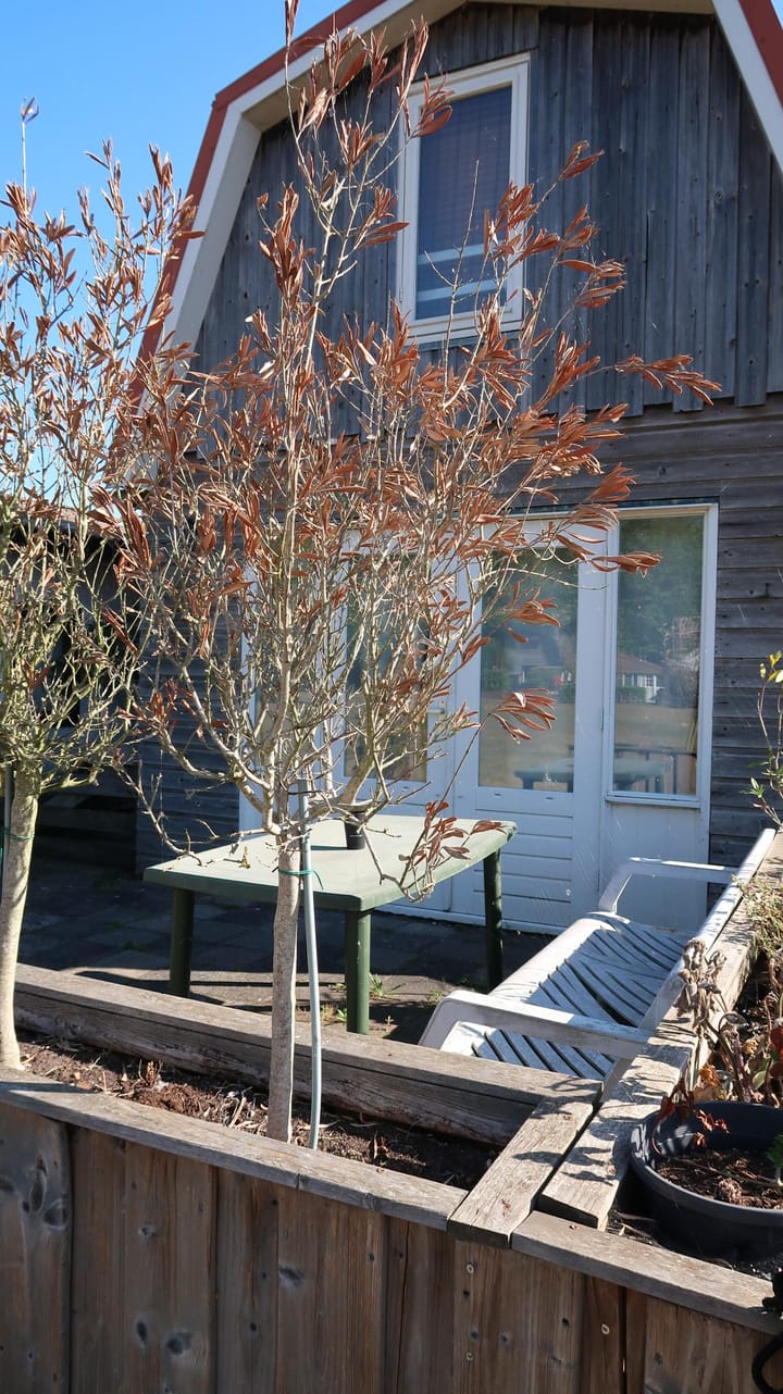 Foto 2 van Zuiderzeeveld 6