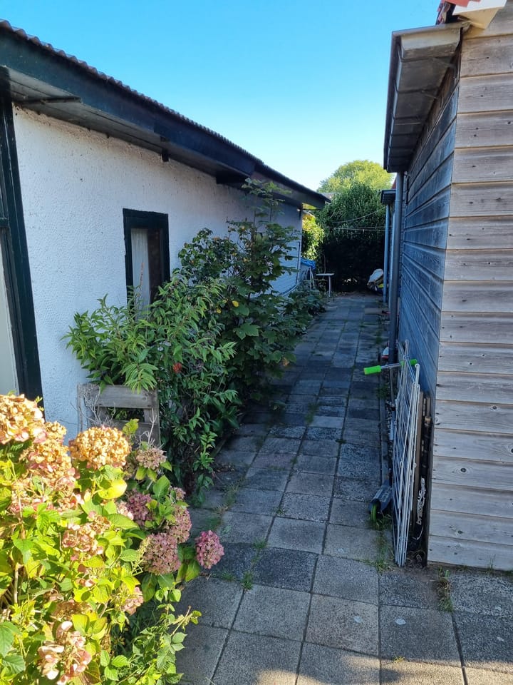 Foto 5 van Zuiderzeeveld 6