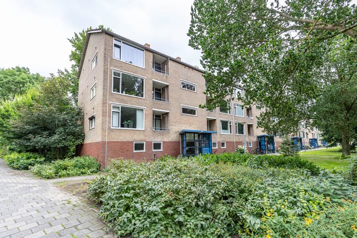 Foto 4 van Dierenriemstraat 221