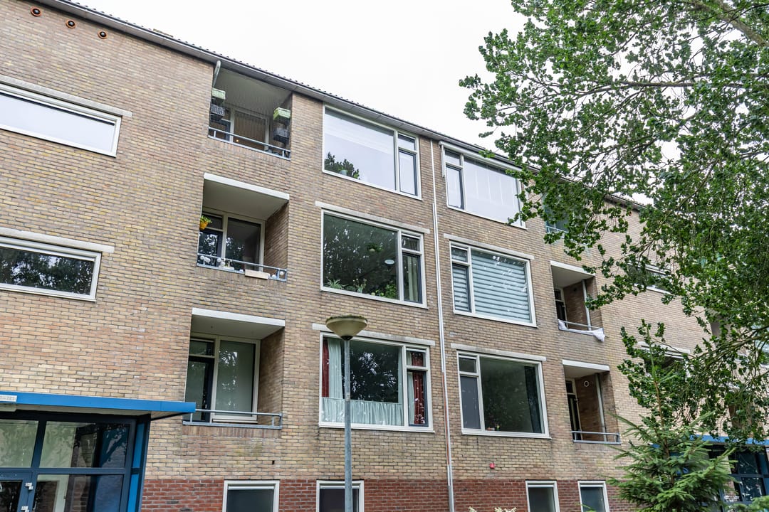 Foto 7 van Dierenriemstraat 221