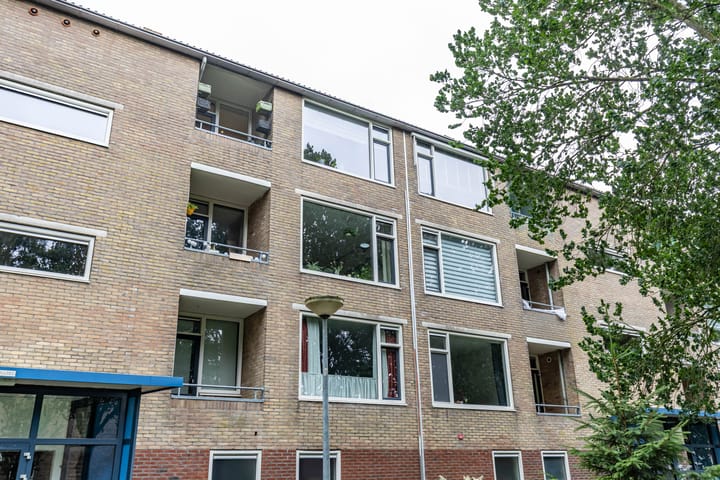 Foto 7 van Dierenriemstraat 221