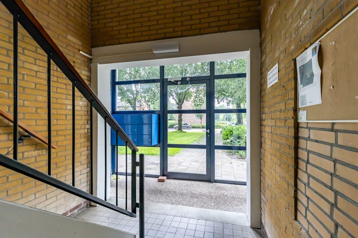 Foto 9 van Dierenriemstraat 221