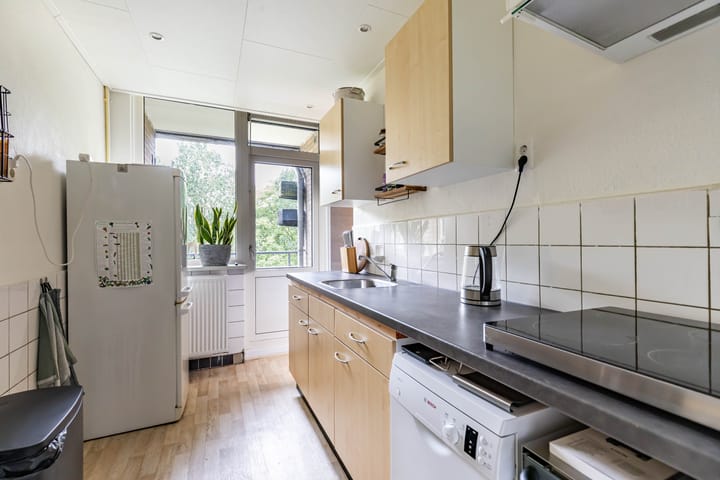 Foto 16 van Dierenriemstraat 221