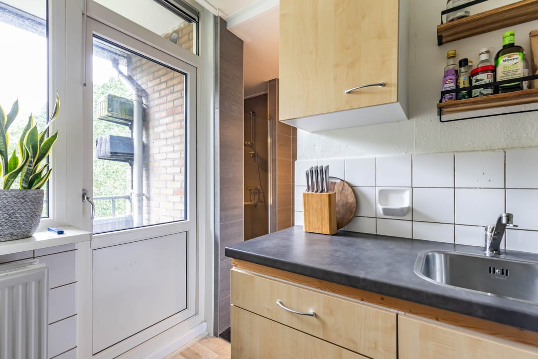 Foto 17 van Dierenriemstraat 221