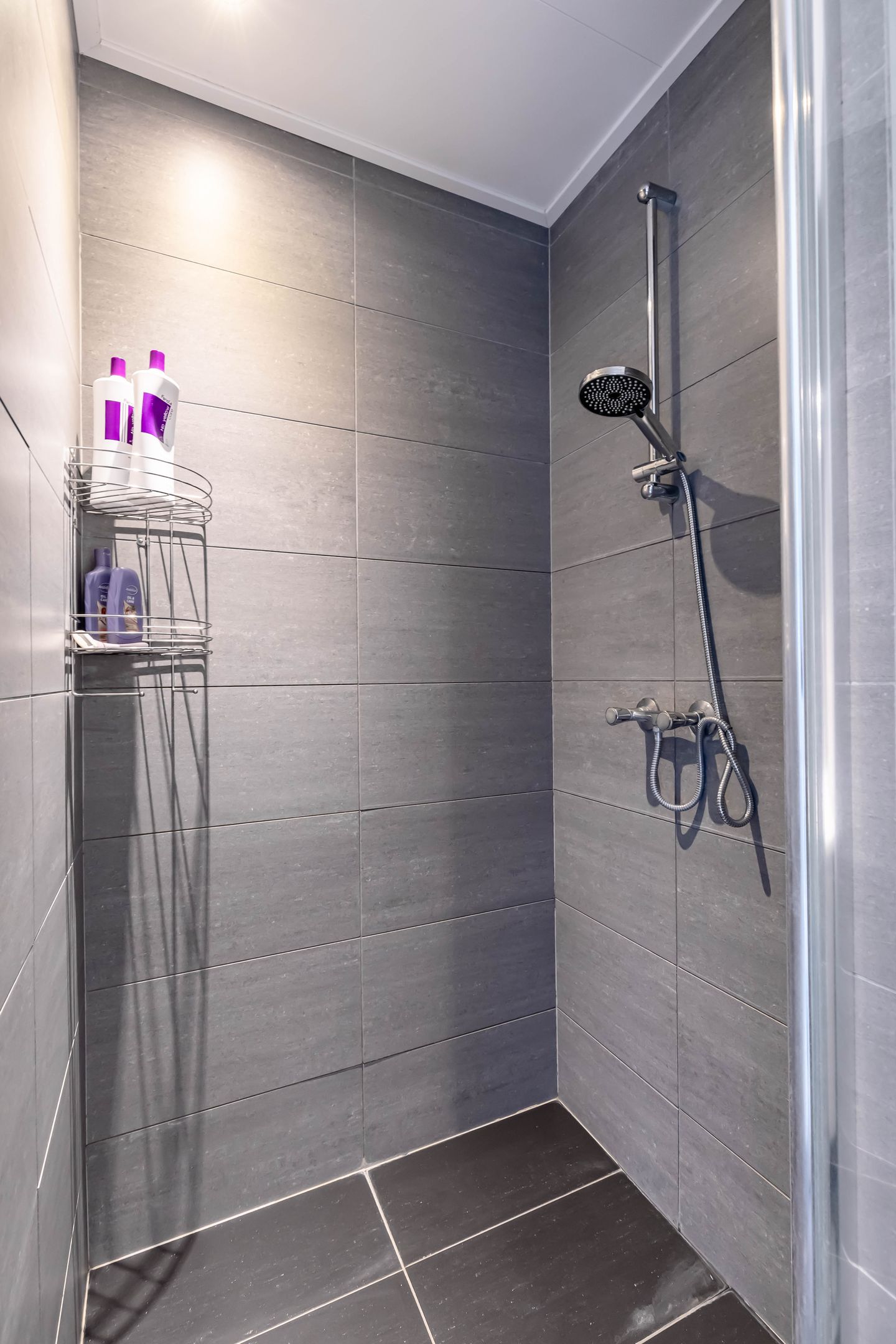 Foto 19 van Dierenriemstraat 221