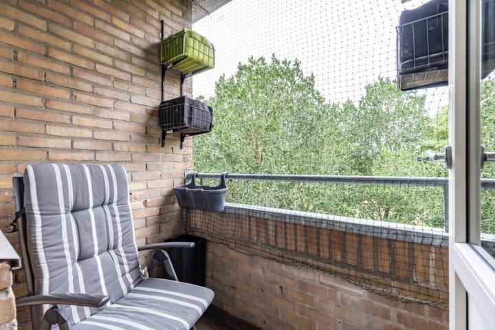 Foto 20 van Dierenriemstraat 221