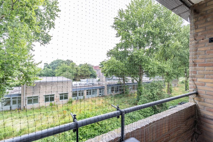 Foto 27 van Dierenriemstraat 221