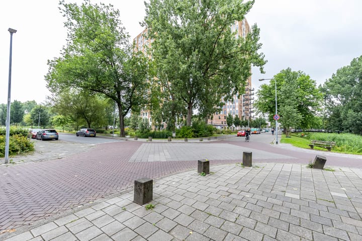 Foto 36 van Dierenriemstraat 221