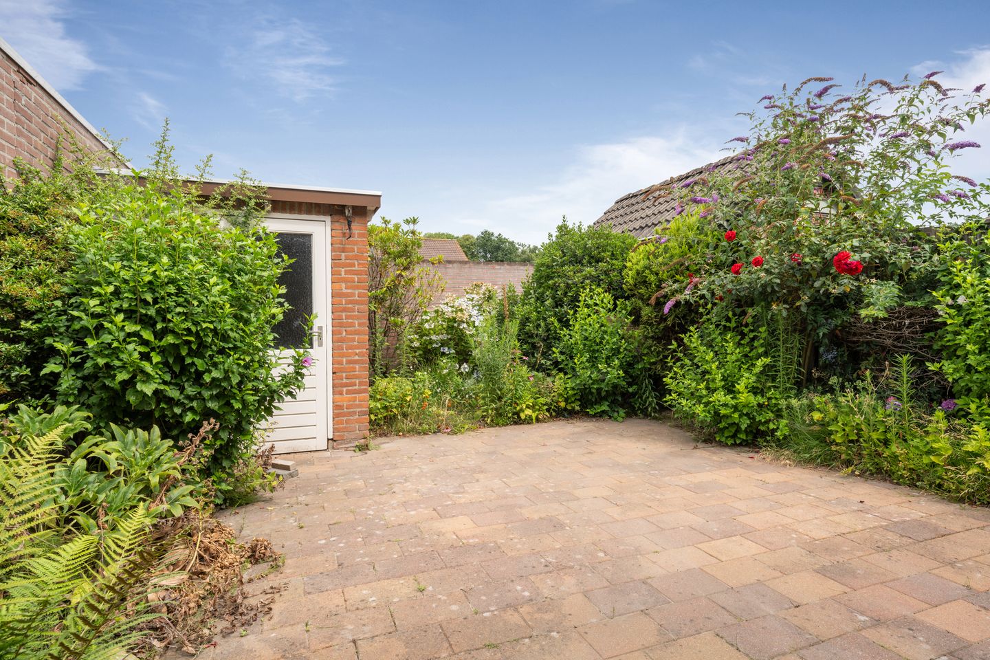 Foto 5 van Wipakker 35