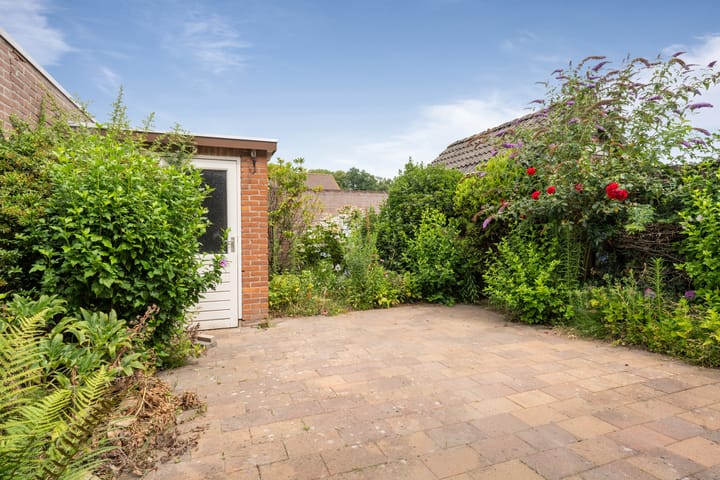 Foto 5 van Wipakker 35