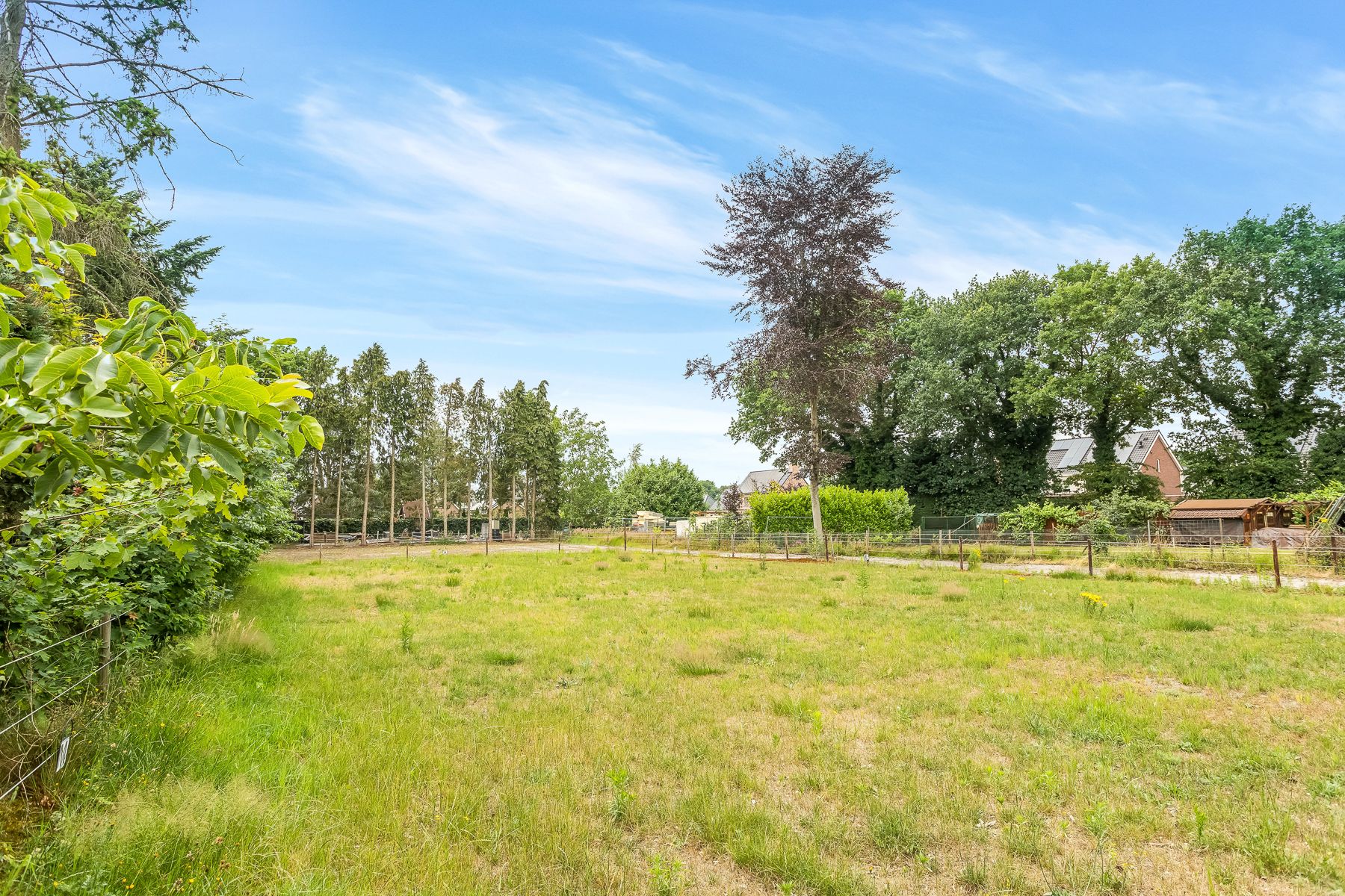 Foto 27 van Koekoekstraat 59